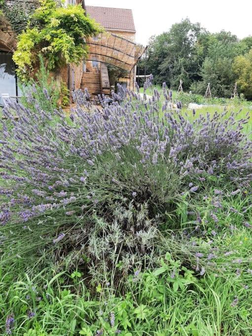 Charmant Studio Dans Maison D'Hote Dans Un Ecrin De Verdure Saint-Martin-le-Redon エクステリア 写真