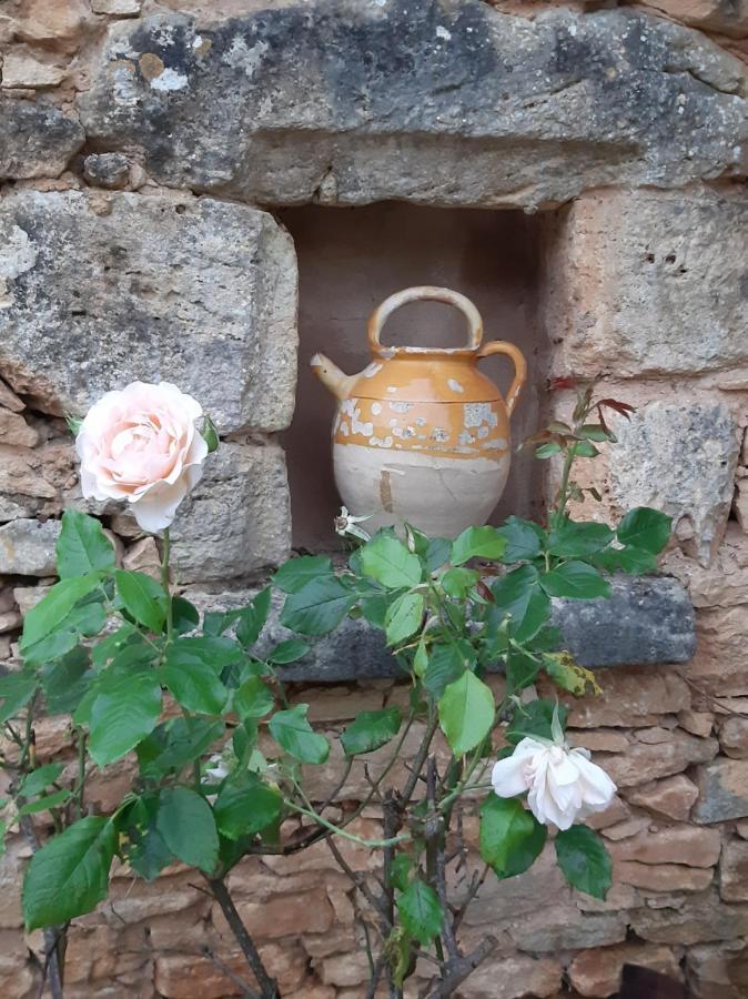 Charmant Studio Dans Maison D'Hote Dans Un Ecrin De Verdure Saint-Martin-le-Redon エクステリア 写真